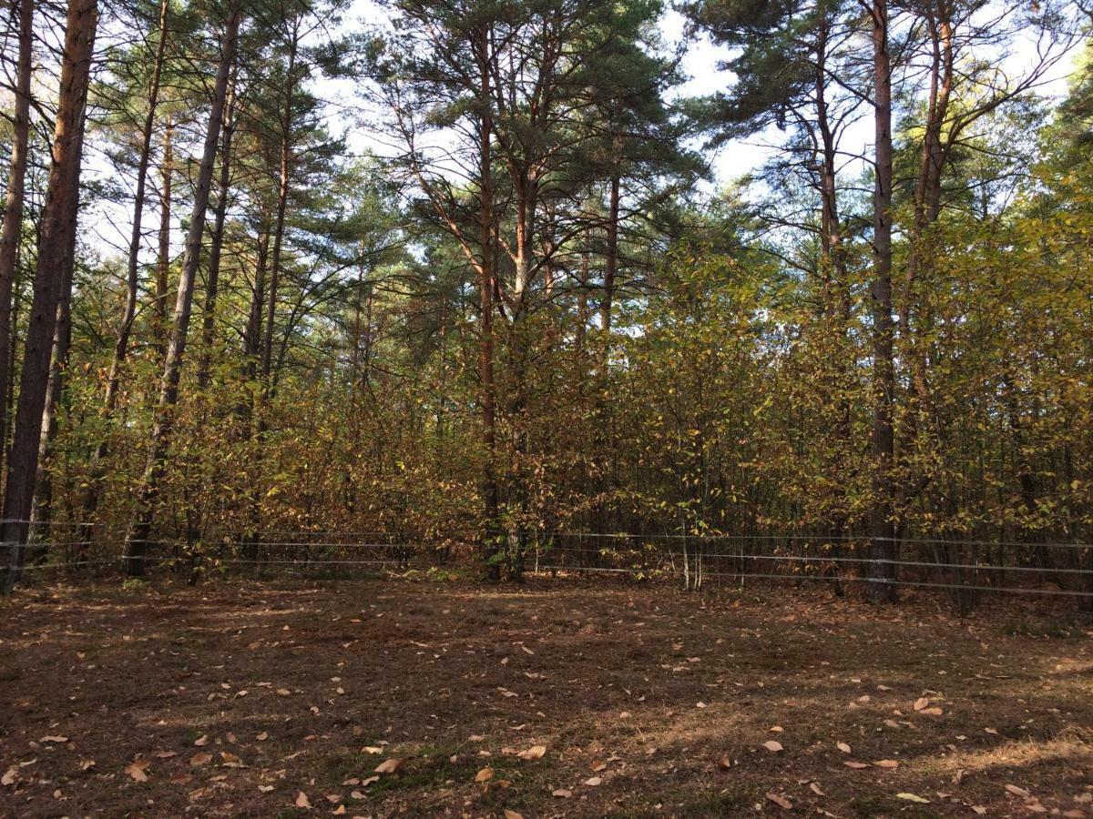 Chambre A La Campagne Chaumont-sur-Tharonne Eksteriør billede